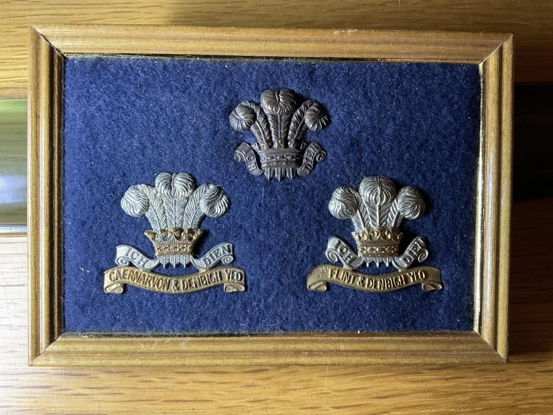 The Denbighshire Hussars