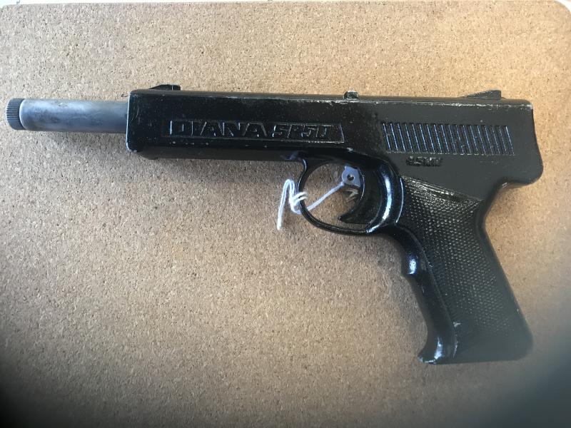 Diana SP50
